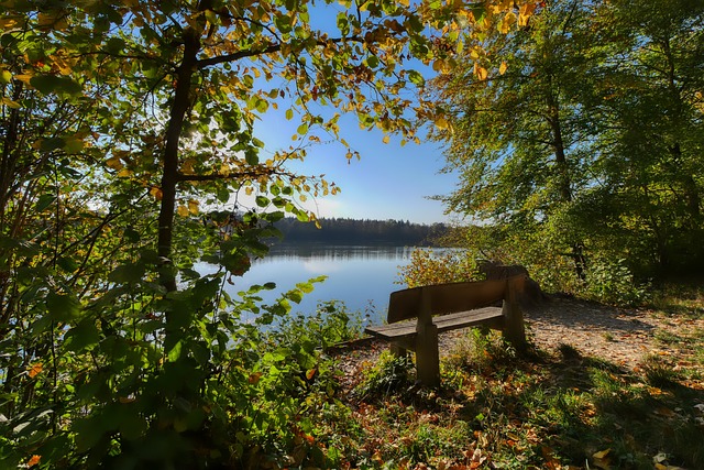 又能参与有 又能参与有