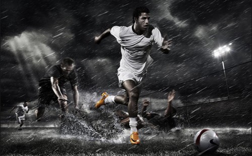 这一活动不 这一活动不