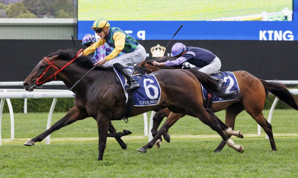 参考以往类 参考以往类